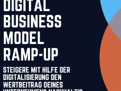 Digital Business Model Ramp-Up